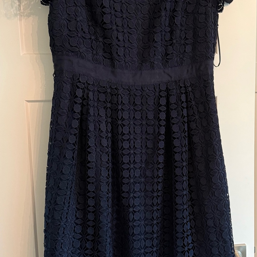 Talbots Midnight Blue Lace Dress
